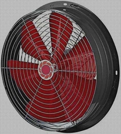 ¿Dónde poder comprar 40cm?