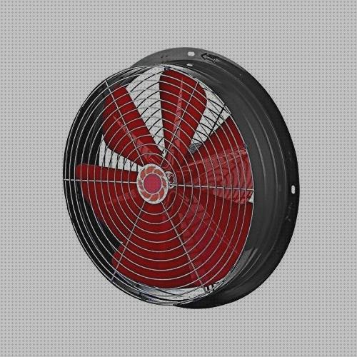 Review de 40cm