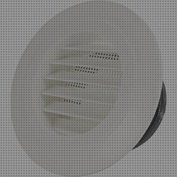 Las mejores bichos bichos extractor baño