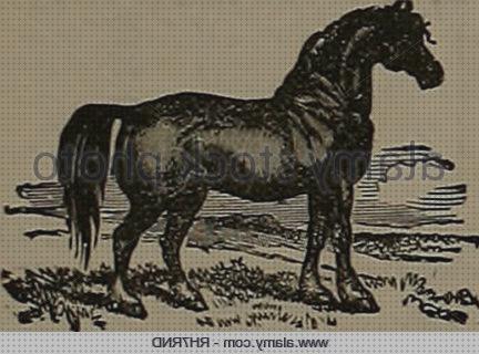 Review de caballos
