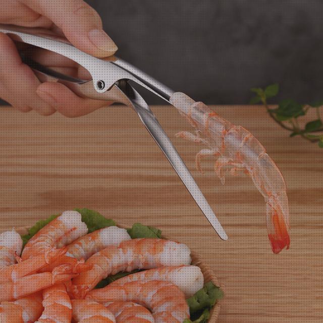 Las mejores marcas de campanas camarones