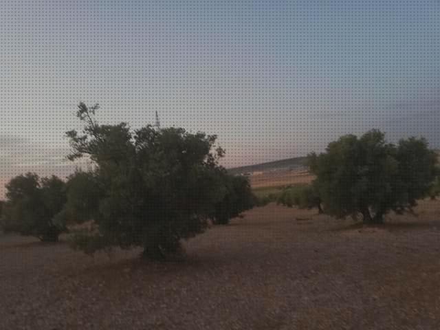 Las mejores balayes extractores campanas campana extractora balay chorrera