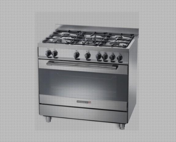 Review de campana extractora industrial con valvula seguridad gas