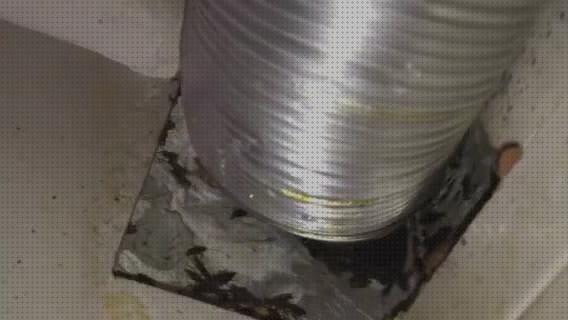¿Dónde poder comprar cucarachas cucarachas por campana extractora?