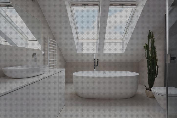 Los 33 Mejores Extractores Baños Atascados