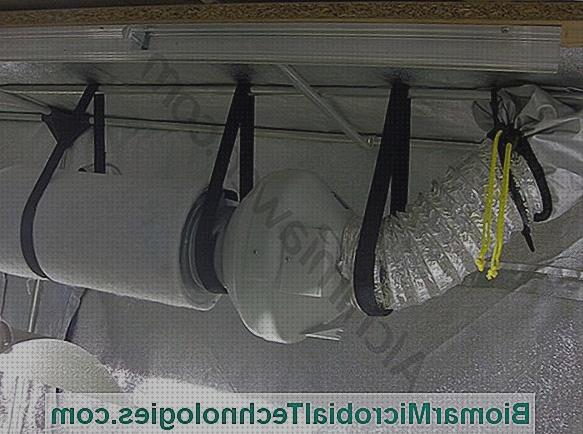 Los 33 Mejores Extractores Dobles De Baños