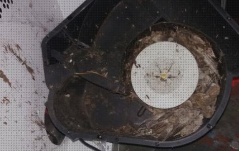 Mejores 41 pajaro campanas extractoras bajo análisis